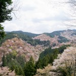 吉水神社