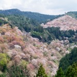 吉水神社