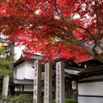 高野山 紅葉