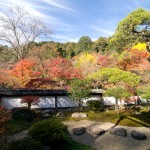 正暦寺 福寿院 紅葉