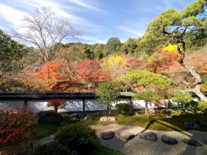 正暦寺 福寿院 紅葉