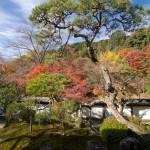 正暦寺 福寿院 紅葉