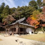 正暦寺 本堂 紅葉