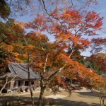 正暦寺 本堂 紅葉