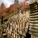 正暦寺 本堂 紅葉