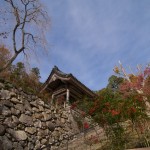 正暦寺 本堂 紅葉