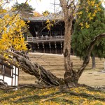 東大寺 二月堂