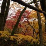 常寂光寺