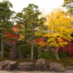 高野山