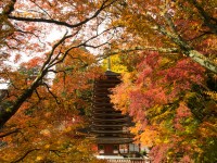 談山神社・十三重塔