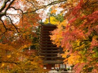 談山神社・十三重塔