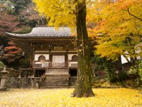 室生寺