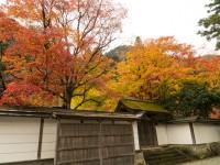 室生寺