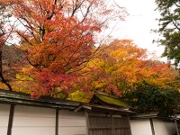 室生寺