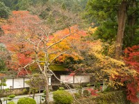 室生寺