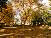 高取城跡の紅葉