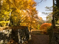 高取城跡の紅葉