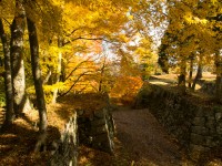 高取城跡の紅葉