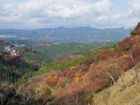 吉野・上千本