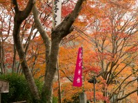 吉野・吉水神社