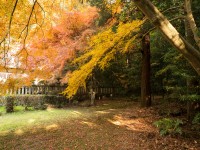 穴師坐兵主神社