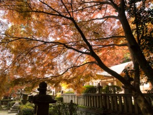 穴師坐兵主神社