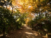 穴師坐兵主神社