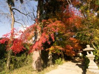 穴師坐兵主神社