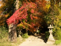 穴師坐兵主神社