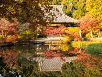 長岳寺