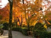 龍安寺